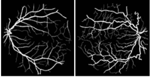 Fig. 8. Performance of neural network training  