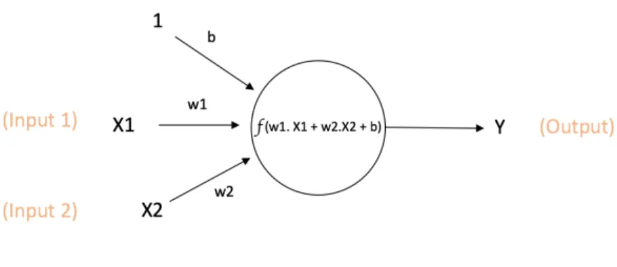 Figure 3: Representation of a Neuron 