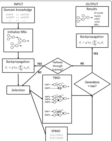 Figure 1 ATHENA algorithm. The ATHENA algorithm begins by optionally accepting a list of SNP-SNPmodels which are derived from biological knowledge sources