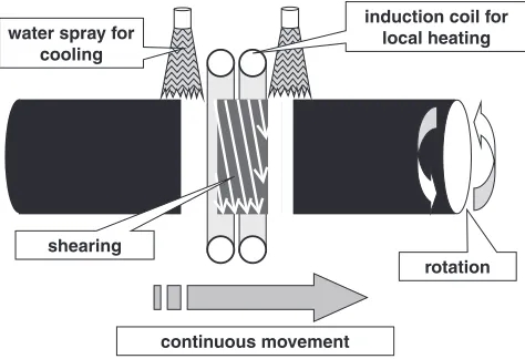 Fig. 1Schematic illustration of STSP.