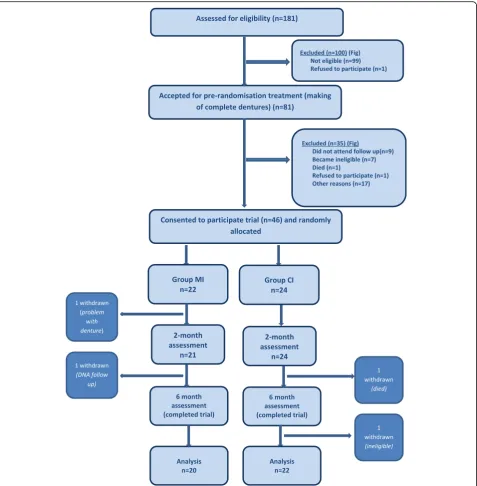 Fig. 1 Flow diagram showing recruitment and retention