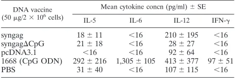 FIG. 6. Comparative Gag expression in transfected C2C12 cells with p-syngag and p-syngag�proteins from the culture supernatant were separated by SDS–10% PAGE and analyzed by immunoblotting with a p24-speciﬁc monoclonaltransfected by calcium phosphate preci