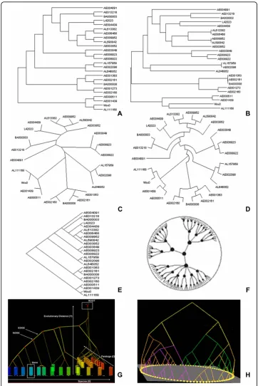 Figure 1 A) An example of a cladogram representation: a branching diagram assumed to be anestimate of a phylogeny