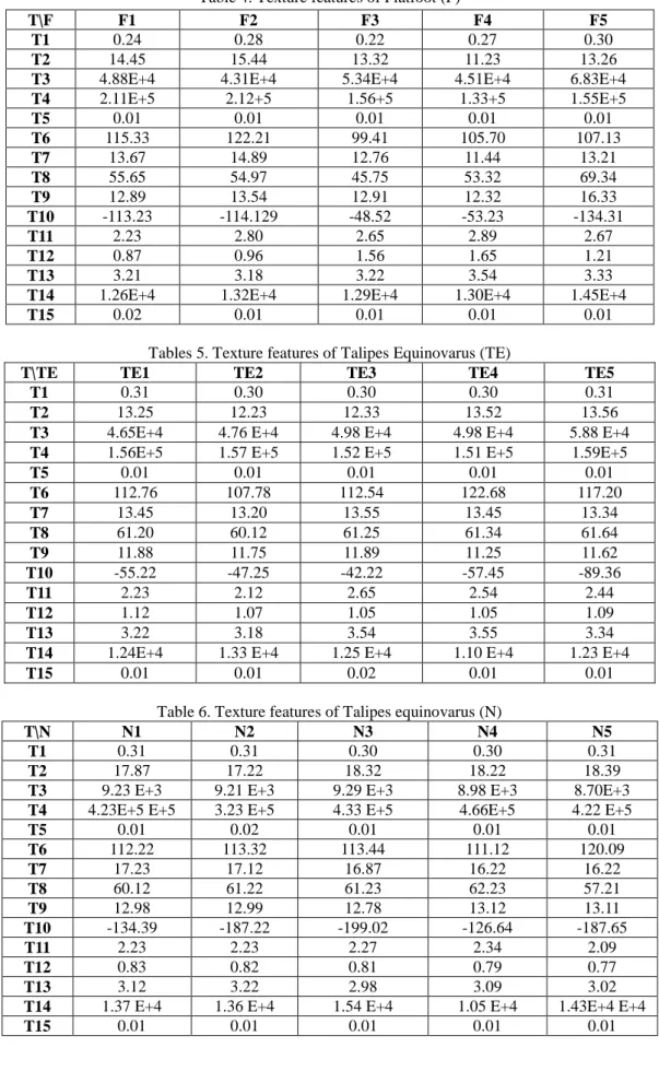Table 6. Texture features of Talipes equinovarus (N) 