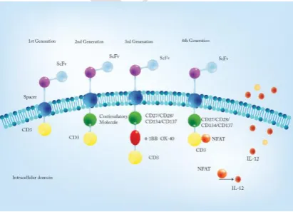 Figure 2. Four different CAR-T cell generations.