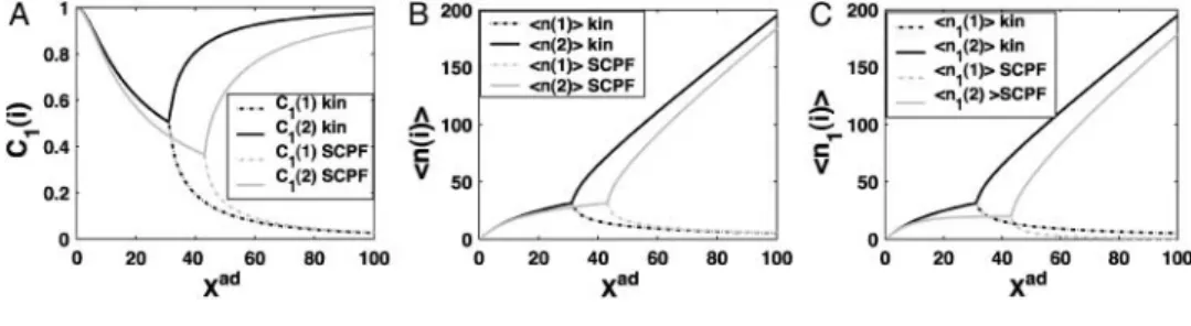 FIGURE 3 Probability that genes are in the active state (A), the mean number of proteins of each type present in the cell Æn(i)æ(B), and the mean number of proteins of each type present in the cell if gene i is in the on-state Æn 1 (i)æ (C) as a function o