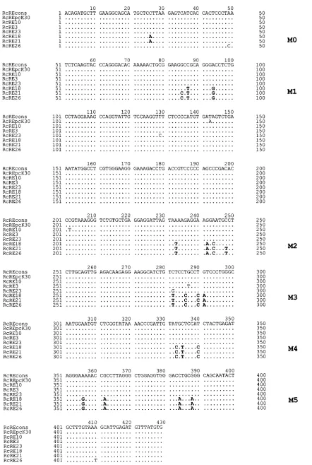 FIG. 1. Alignment of RcRE sequences of different genomic LTRs. Mutational clusters M0 to M5 are depicted in bold letters