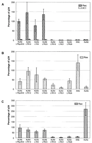 FIG. 2. Biological activity of RcRE sequences from HTDV/HERV-K genomes. The HIV Gag precursor in cell lysates was determined with anHIV p24 capture assay after cotransfection of the indicated pHIVgagRcRE reporter vectors into HLtat cells with the effector plasmid pRec or