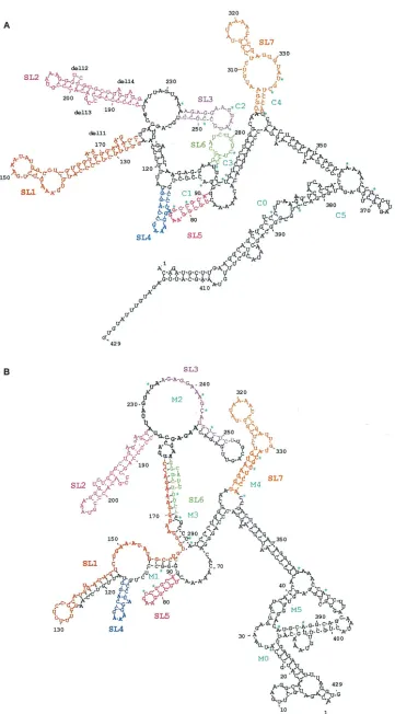 FIG. 4. Predicted folding structures of active and inactive RcREs. (A) pcK30. (B) LTR21