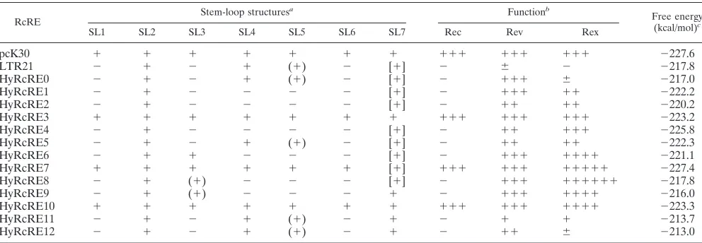 TABLE 1. Compilation of the presence of predicted stem-loop structures in the inner core of the HyRcRE sequences and their functionality