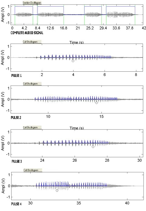 Fig. 2.Audio partition in song pulses