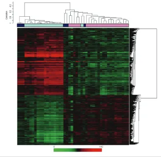 Figure 2. Unsupervised hierarchical clustering analysis including all the study kidney sample tissues