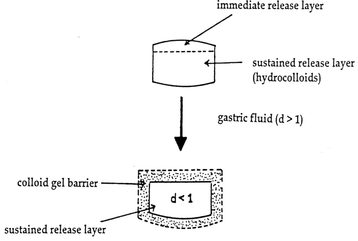 Fig. 1.10: intra gastric floating tablet 