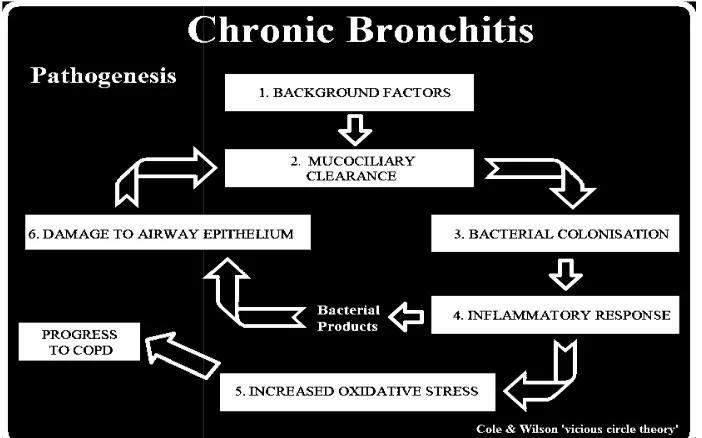 Fig No 3: Chart showing the progress of COPD  