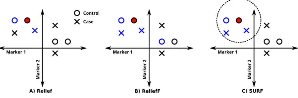 Figure 1How Relief, ReliefF and SURF select neighborsset of cases and controls. For the purpose of this example only these two markers will be considered and both are continuous