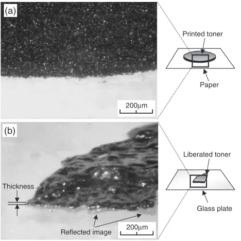 Fig. 3Microscopic images of printed and liberated non-magnetic toner(viewed from thickness direction)