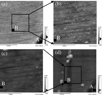 Fig. 6The surface changes on oxidized pure chromium ((a) after keeping in desiccators (25–30%RH, 293 � 3 K) for 64.8 ks (t ¼ 720 s),(b) after contact mode scanning (1.2 ks), (c) after 10.8 ks and (d) after 13.8 ks).