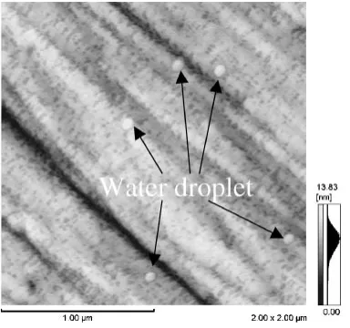 Fig. 8Surface morphology of the oxidized specimen after ultrasonicallykeeping in distilled water.