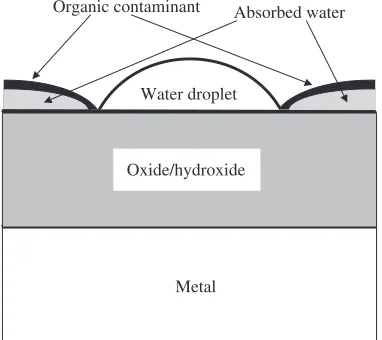 Fig. 10Schematic surface structure of chromium after wetting by micro-droplets of water in ambient air.