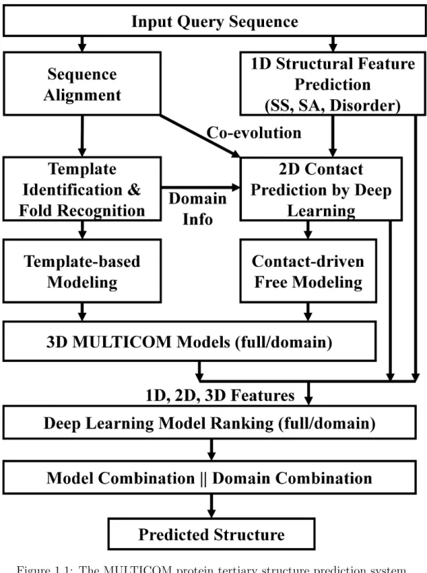 Figure 1.1: The MULTICOM protein tertiary structure prediction system