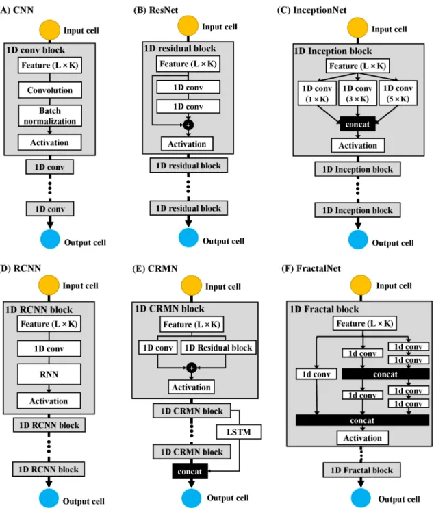 Figure 2.2: Six deep learning architectures: (A) CNN, (B) ResNet, (C) InceptionNet, (D) RCNN, (E) CRNN, (F) FractalNet for secondary structure prediction