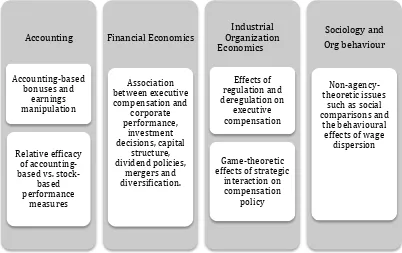 Figure 1.2 Focal areas of executive compensation research (1999) 
