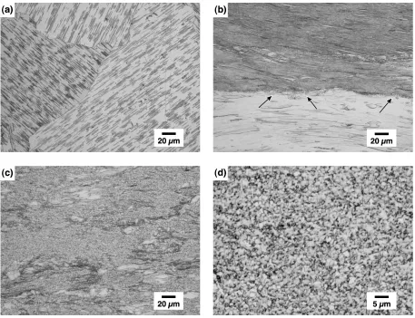 Fig. 1Optical microstructures of WZ73 alloy for (a) homogenized material, (b) hot extruded material, (c) ECAE processed material withlow magniﬁcation and (d) ECAE processed material with high magniﬁcation