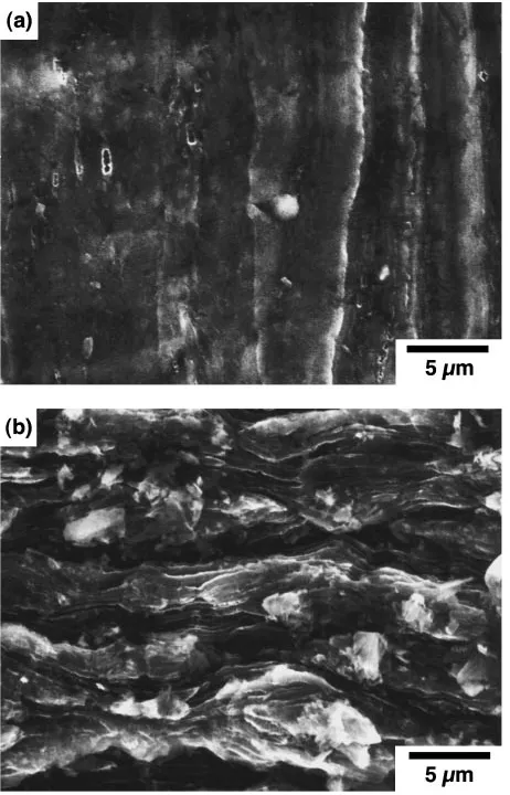 Fig. 7Surface appearances of ECAE processed WZ73 alloy fractured at(a) 473 K and (b) 673 K