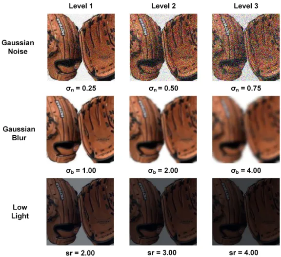 FIGURE 6. Example Caltech-256 image [18] after various level of Gaussian noise, Gaussian blur, and low light.