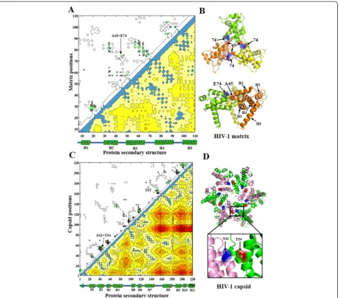 Figure 5 Intra-protein couplings of HIV-1 matrix and capsid predicted by CNPR. (A) Contact map of HIV-1 matrix protein and intra-proteincoevolving pairs predicted by CNPR