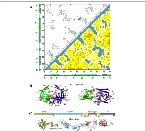Figure 6 Intra-protein couplings of HIV-1 protease and Gag cleavage sites in the protein structures