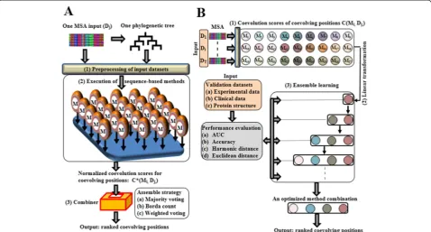 Figure 2 Schematic view of ensemble coevolution system. (A) Workflow of coevolution prediction