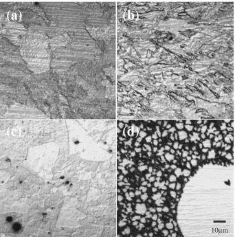 Fig. 1Microstructure of magnesium substrates after chemical etching. (a) 99.95%Mg, (b) 99.6%Mg, (c) AZ31B, (d) AZ91D.