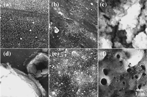 Fig. 8SEM images of the surfaces of (a) pre-treated, and anodized specimens of 99.95% Mg at (b) 2 V, (c) 5 V, (d) 10 V, (e) 40 V and(f) 60 V in KOH–KF–Na3PO4 solution for 10 min at 298 K.