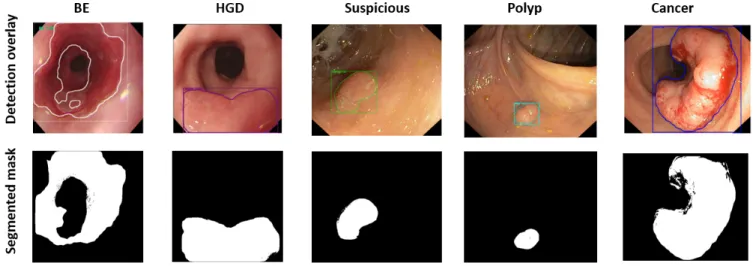 Fig. 3. Semantic segmentation results on some of the images from the test dataset 4.2