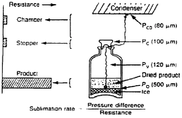 Figure 5 Resistances and their relative contributions in Mass Transfer 