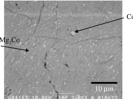 Fig. 11Microstructure of BMA sample at N ¼ 2000.