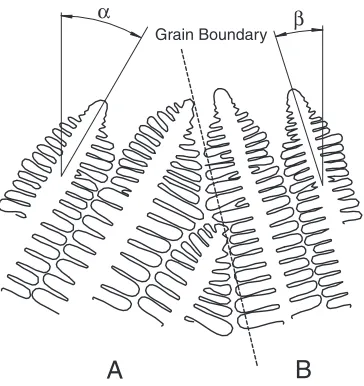 Fig. 1A schematic drawing of solid-liquid interfacial morphology at agrain boundary, which is formed by ‘‘blocking’’.