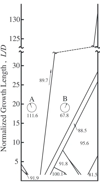 Fig. 14Calculated grain structure in the ﬁnal stage of solidiﬁcation. In thiscase, the grain, the angle between h001i and isotherm is 111.6�, is ﬁnallyselected