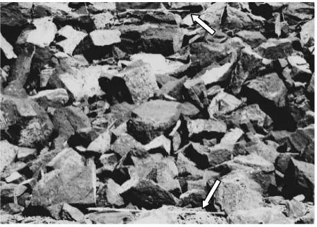 Fig. 1An image of a muckpile. The arrows indicate poles, each 2 meterslength.