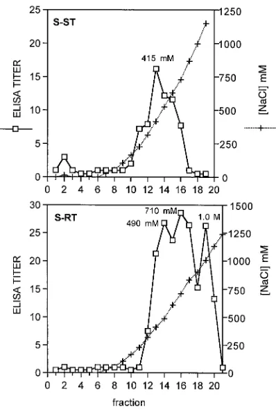 FIG. 5. Heparin-Sepharose chromatography of ErnsS-ST or ENaCl concentration of these fractions was determined by measuring0 mM NaCl