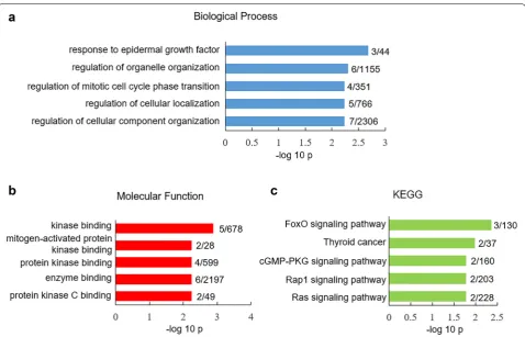Fig. 4 GO and KEGG analysis of differential expressed SRG in GABAergic neurons between human versus mouse V1 cortex