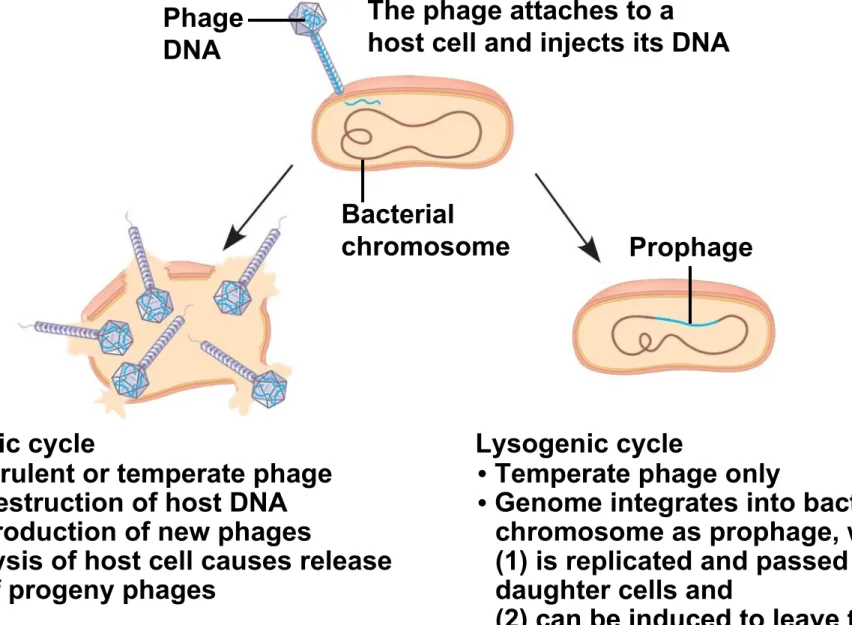 Fig. 19-UN1