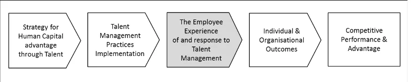 Figure 3.1 Talent-Advantage Logic Path: Accessing strategic firm advantage through 