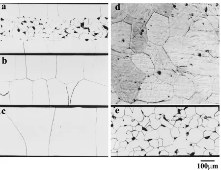 Fig. 6Optical micrographs of (a)–(c), (e) cross-sections and (d) a surface of samples annealed using (a)–(d) SiO2-containing separatorsand (e) an Al2O3 plate separator