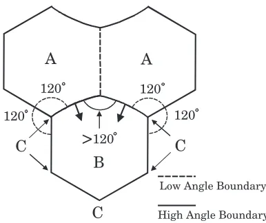Fig. 14Schematic diagram of columnar grain growth during decarburiza-tion.