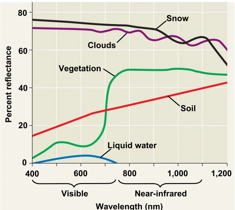 Fig. 55-5 Liquid water SoilVegetationCloudsSnowPercent reflectance 0 400 600 800 1,000 1,20020406080TECHNIQUE