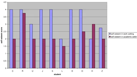 Figure 1: self esteem in different settings