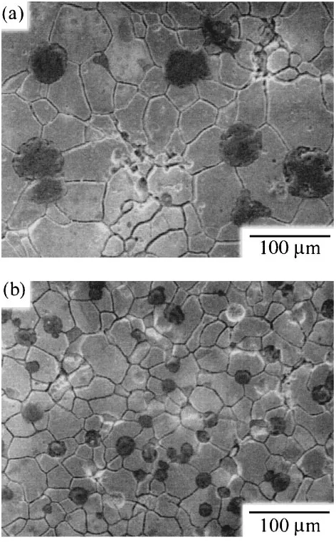 Fig. 5(a) the graphite nodule size (Dg) of the specimen vs. tensileelongation of the specimens has tested at room temperature (R.T) and at673 K; (b) the tensile elongation of the specimens has tested at roomtemperature (R.T) and at 673 K as a function of m