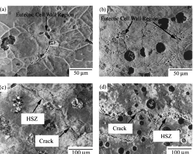 Fig. 11Cracks initiation and propagation feature after
